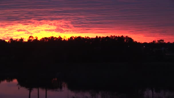 Jezero při západu slunce v Orlandu — Stock video