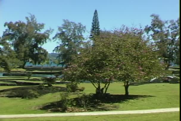 Hilo Park on Hawaii — Stock Video