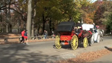 New York'taki Central Park'ta atlı arabaları
