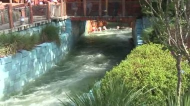 SeaWorld Orlando Tema Parkı