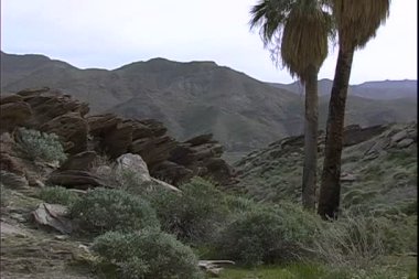 Kaliforniya'da San Andreas yer