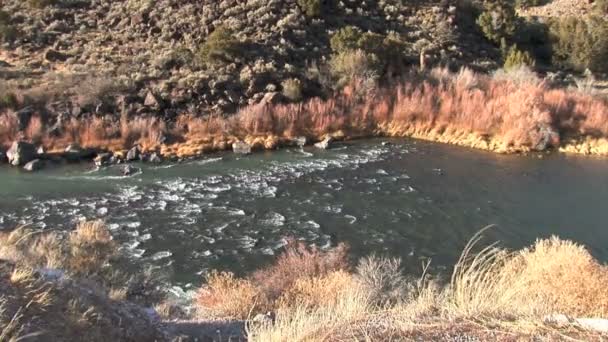 Río Grande en el desierto — Vídeos de Stock