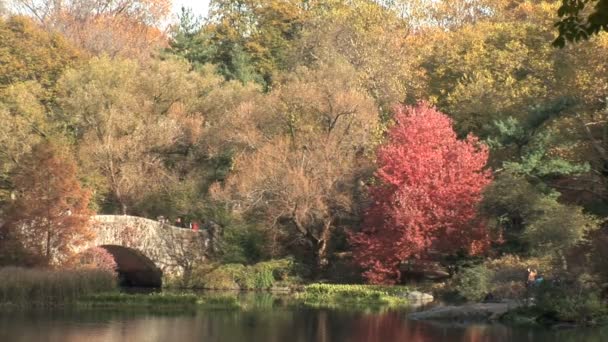 Central Park v New Yorku — Stock video