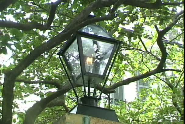 在新奥尔良的公园在煤气灯下 》 视频剪辑