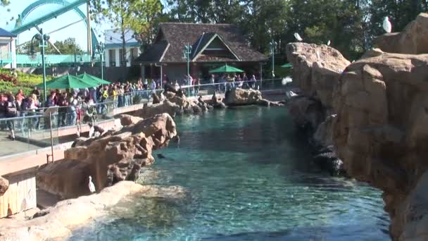 SeaWorld Orlando parque temático — Vídeo de Stock