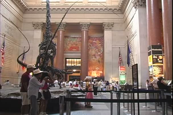 Museum i New York city — Stockvideo