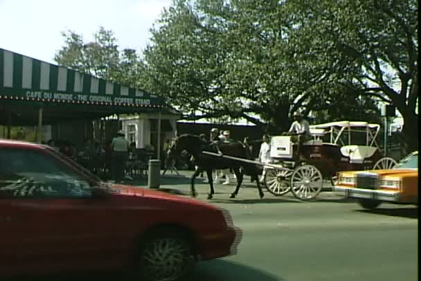 Cafe du Monde i New Orleans — Stockvideo