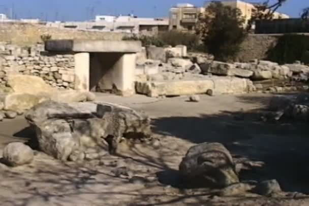 Ερείπια ναού Tarxien στη Μάλτα — Αρχείο Βίντεο