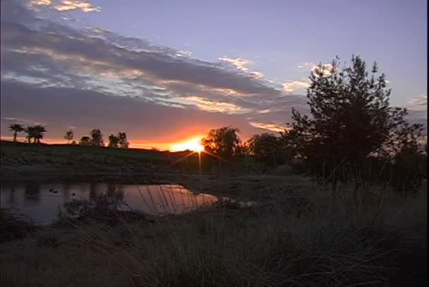 Sunrise over desert in California — Stock Video