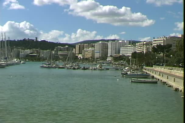 Palma de Mallorca Marina en España — Vídeos de Stock