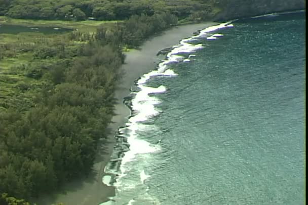 Spiaggia di sabbia nera — Video Stock