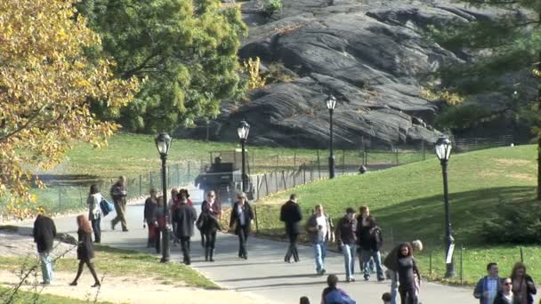 Parque central em Nova Iorque — Vídeo de Stock