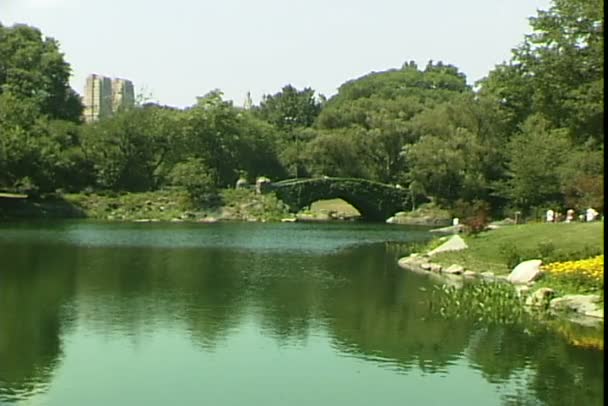 Parque central em Nova Iorque — Vídeo de Stock