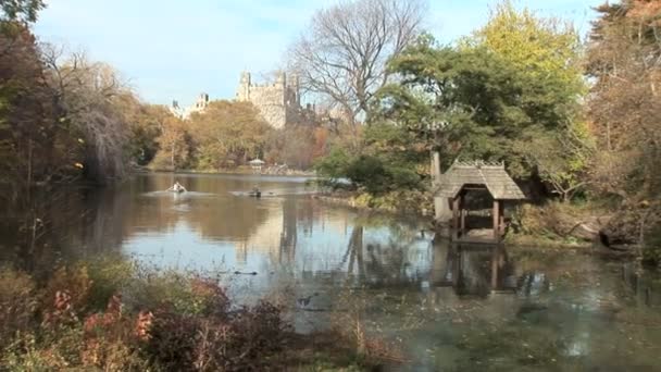 Central Park New Yorkban — Stock videók