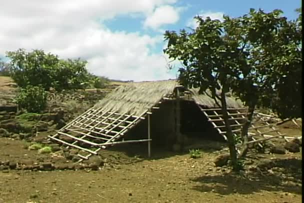 Traditionele Hawaiiaanse Hut — Stockvideo