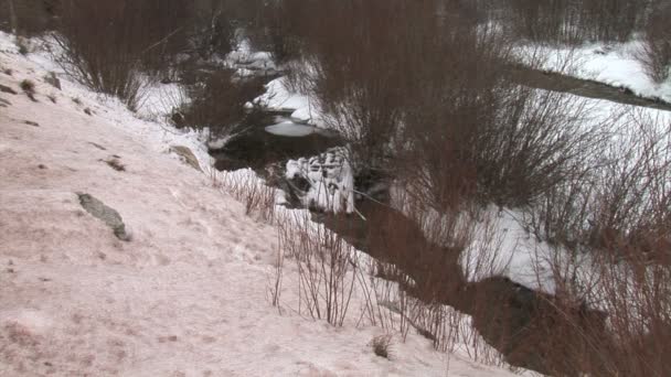 Snowy Creek in winter forest — Stockvideo