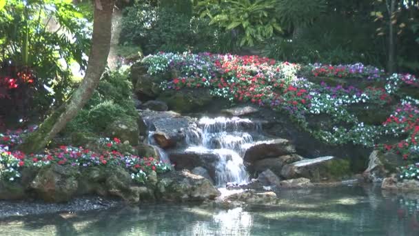 Cascada en el jardín del patio trasero con helechos Moss y flores de