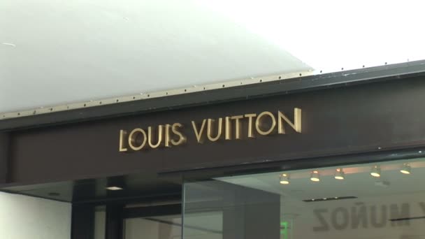 Tienda Louis Vuitton en Palm Beach — Vídeos de Stock