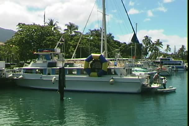 Lahaina Harbor na Hawajach — Wideo stockowe