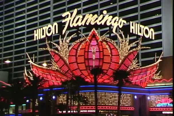 Flamingo hotel neon znak w Las Vegas — Wideo stockowe