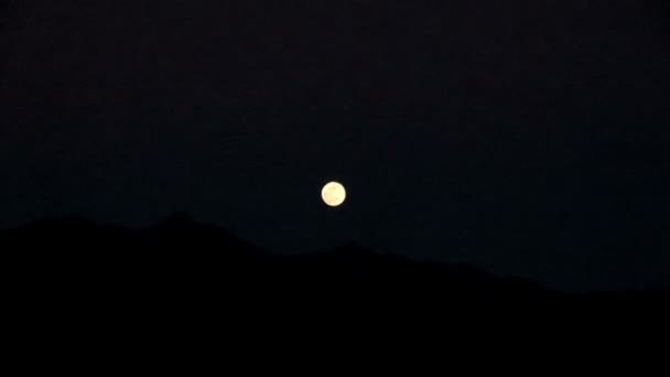 Volle maan in de nachtelijke hemel — Stockvideo