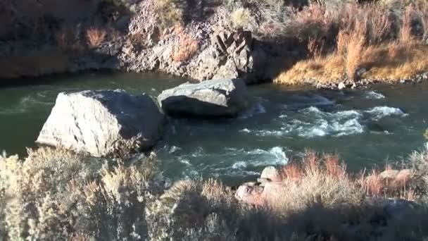 Río Grande en el desierto — Vídeos de Stock