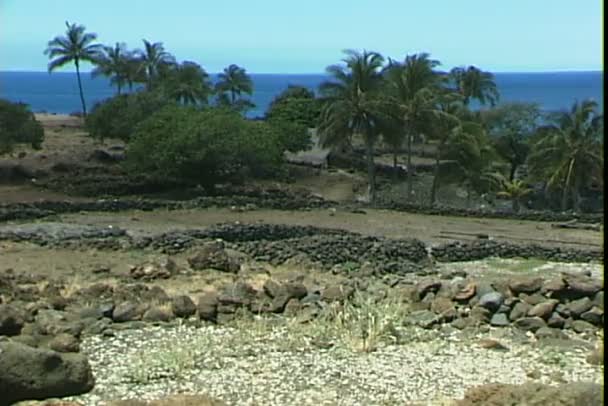 在美国的夏威夷传统村落 — 图库视频影像
