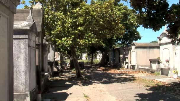 Lafayette cemetery i new orleans — Stockvideo