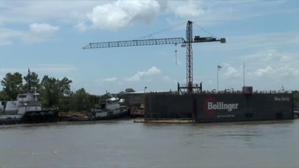 Cranes on Mississippi river — Stock Video