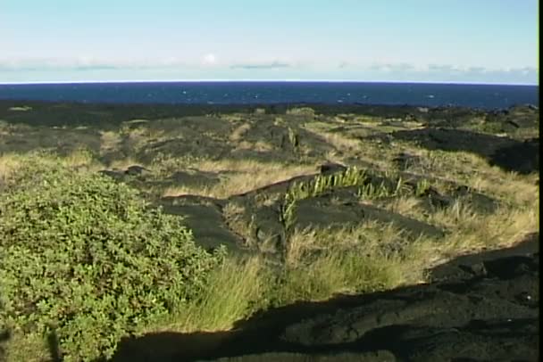 Lavafeld in den Bergen — Stockvideo