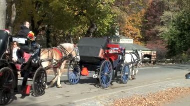 New York'taki Central Park'ta atlı arabaları