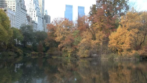 New York 'taki Central Park — Stok video