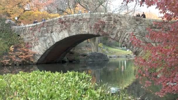 Central Park à New York — Video