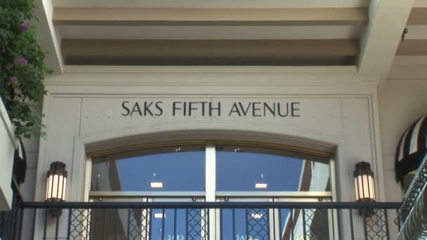 Saks Fifth Avenue - do centrum handlowego ogrody — Wideo stockowe