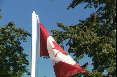 Gökyüzü mavi zemin üzerine Kanada bayrağı