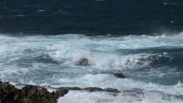 阿鲁巴岛上的 Ironshore — 图库视频影像