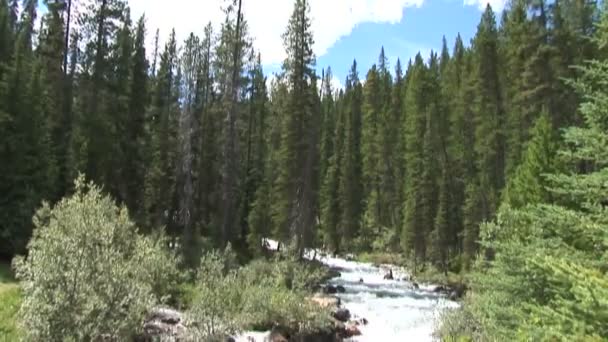 Stream till Moraine Lake — Stockvideo