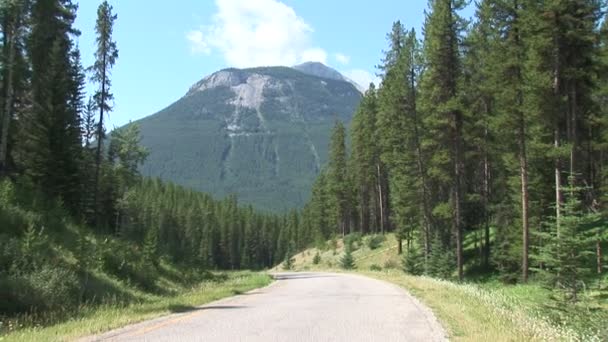 Horská silnice v Banff — Stock video