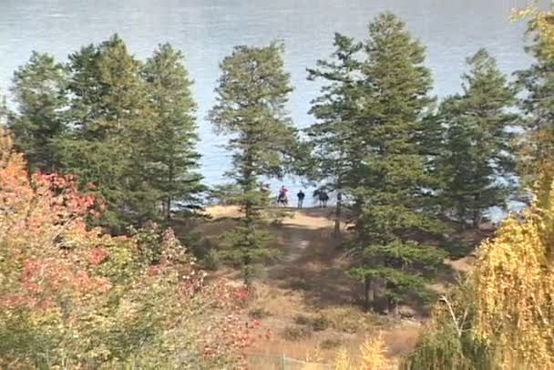 Menschen auf Pferden in der Nähe von See und Golfplatz — Stockvideo