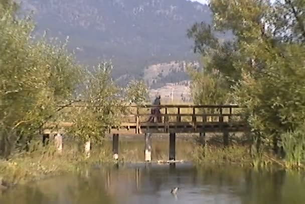 Randonneur marchant sur le pont — Video