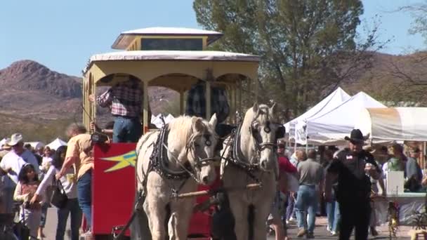 Carruagem de cavalo em feira na cidade de Tubac — Vídeo de Stock