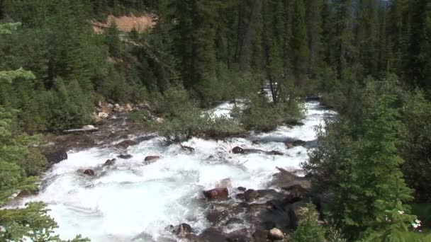 Corriente en el río de montaña — Vídeo de stock