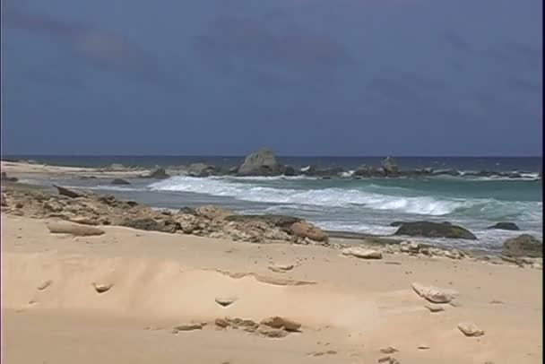 아루바의 북쪽 해 안에 섬 — 비디오