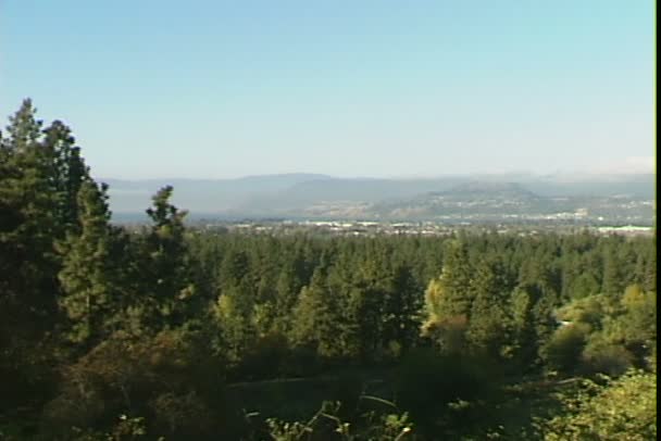 Wald in der Nähe der Stadt Kelowna — Stockvideo