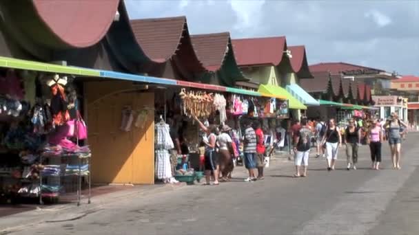 Stro markt op Aruba — Stockvideo