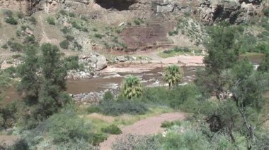 Arizona nehirde tuz