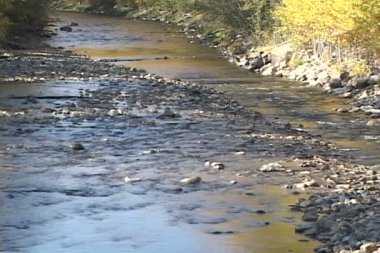 Golden Creek Kanada