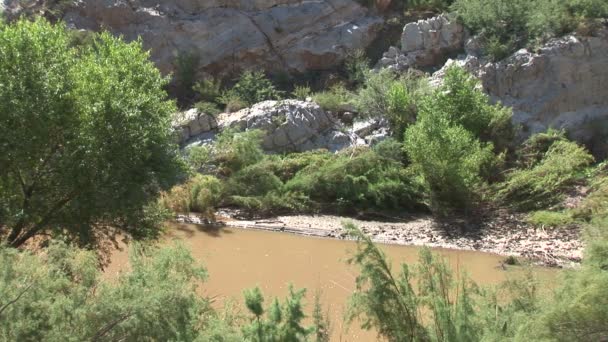 Rio de Sal em Arizona — Vídeo de Stock