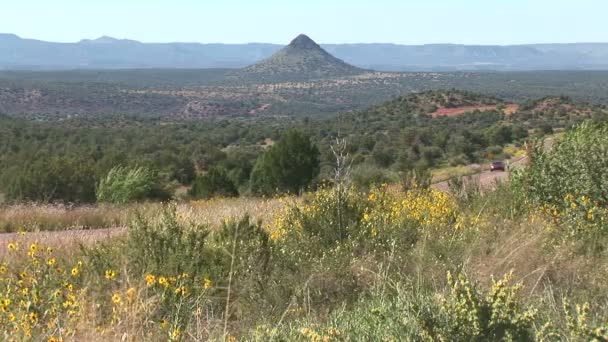 Route dans l'État de l'Arizona — Video