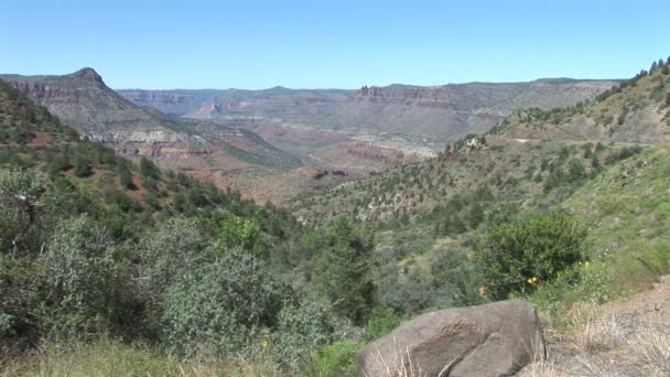 Salt River Canyon w Arizonie — Wideo stockowe